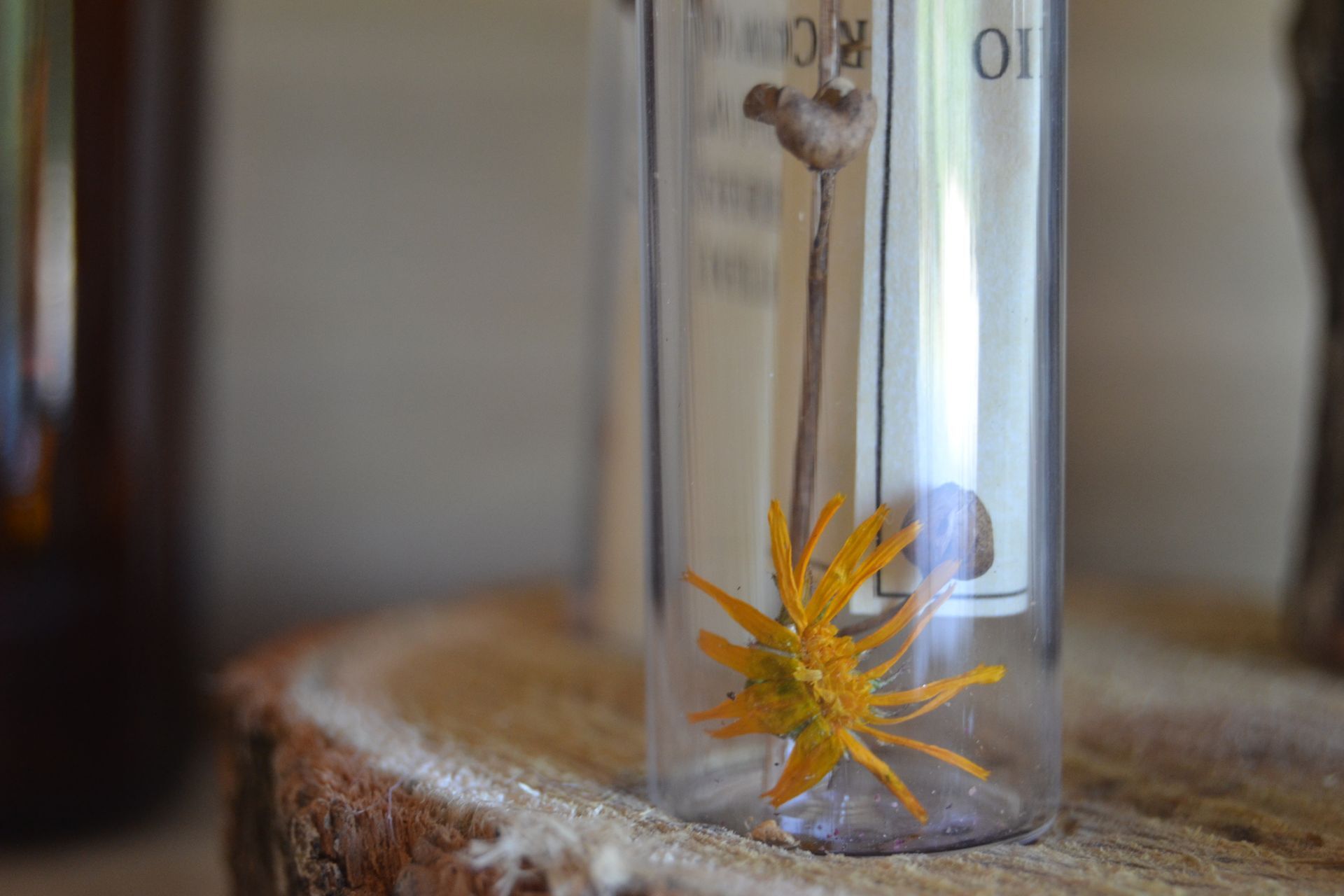 MESSAGE IN THE BOTTLE